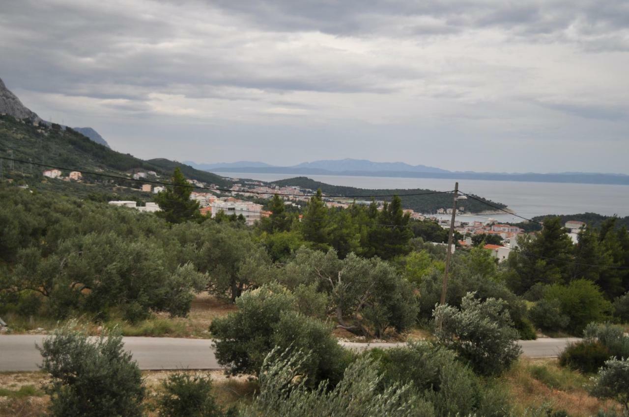 Apartment Ljubica Ljuban Makarska Exterior foto